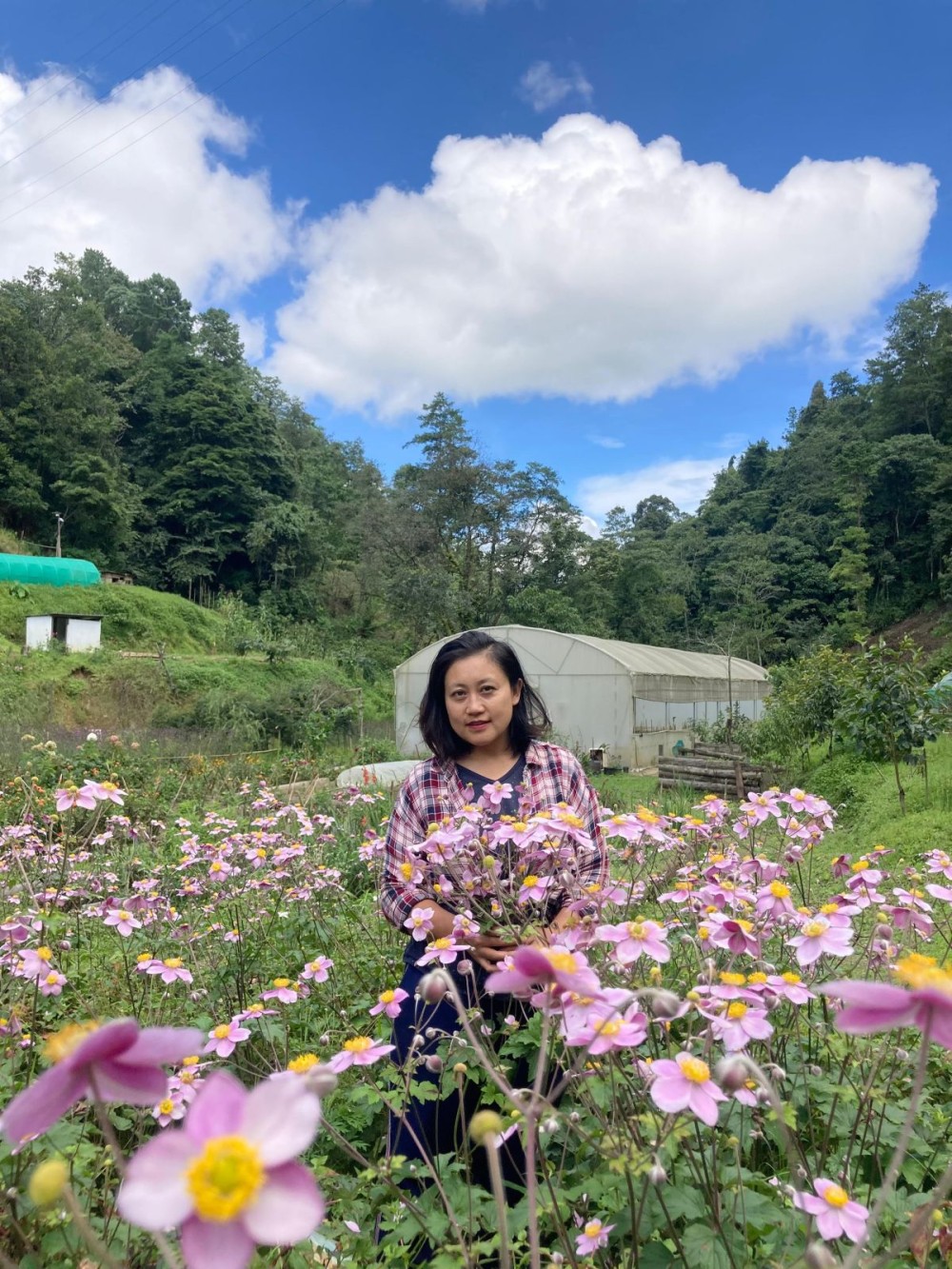 Vesalu Puro, whose journey from a small floriculture venture in Pfütsero, Phek to a nationally recognised enterprise was highlighted by Prime Minister Narendra Modi on August 30, is seen at her flower garden in Nagaland. (Photo Courtesy: V Puro)